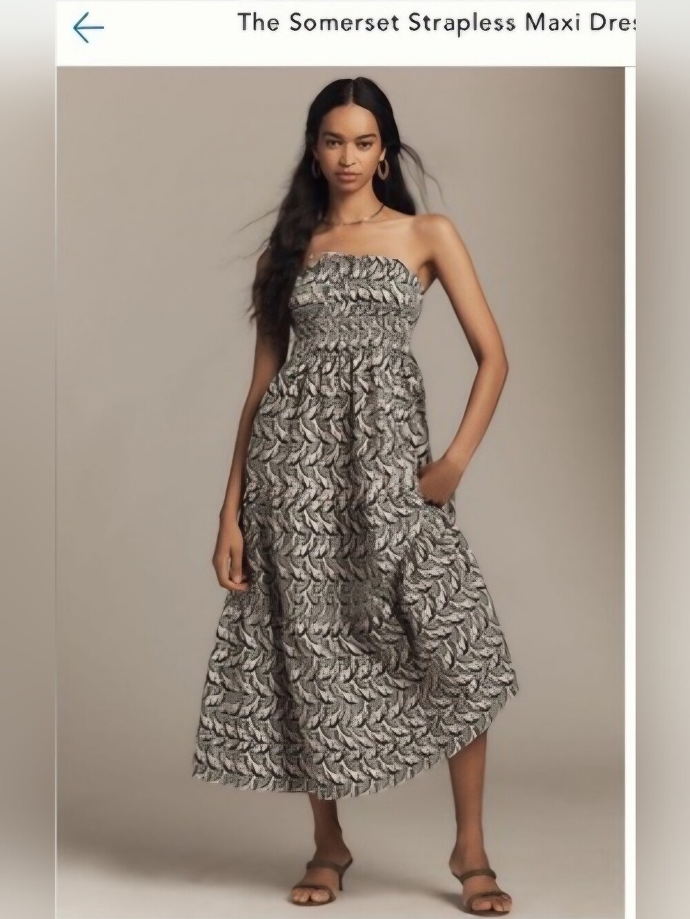 Anthropologie Strapless Somerset Dress NWT